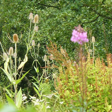 Sockbridge Mill Panzió Penrith