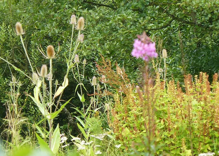 Sockbridge Mill Bed & Breakfast Penrith